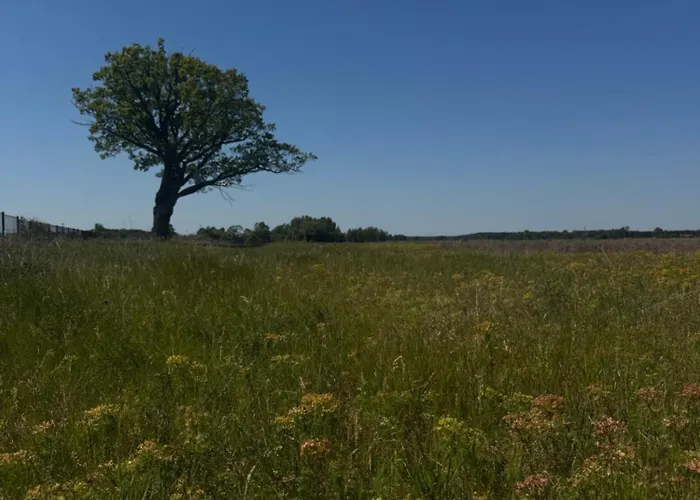 Holiday home Siedlisko Golabki Cegielnia