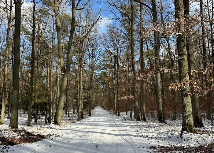 Holiday home Siedlisko Golabki