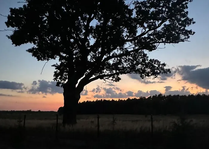 Siedlisko Golabki Holiday home Cegielnia