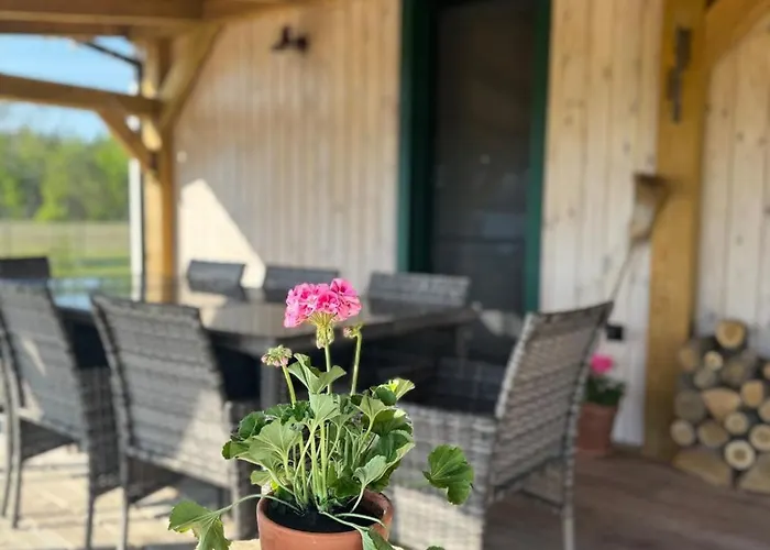 Siedlisko Golabki * Cegielnia